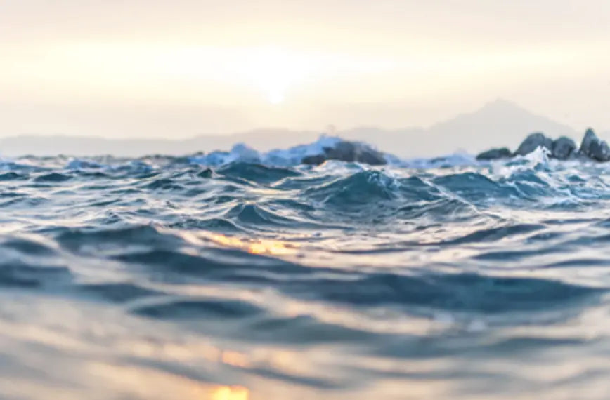 Buvez du thé de manière durable : économisez de l’eau, de l’énergie et de l’argent avec la machine à thé BRU