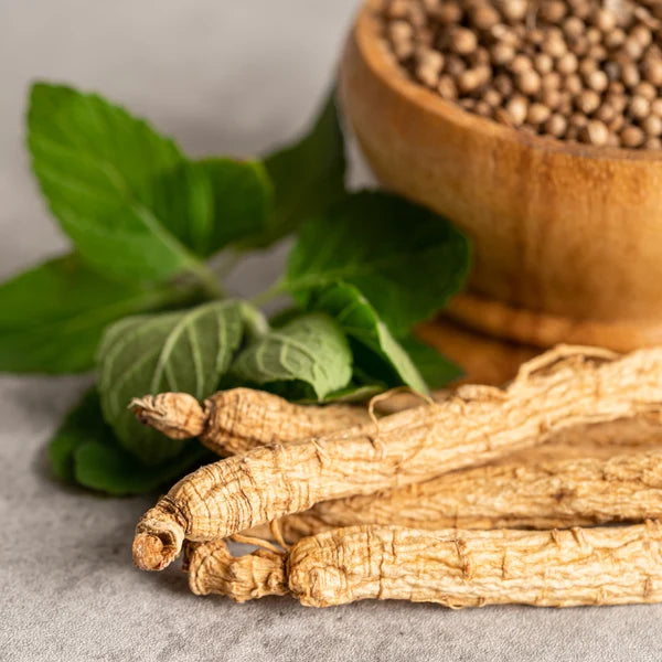 Ginseng-Wurzeln mit frischen Blättern und einer Holzschale