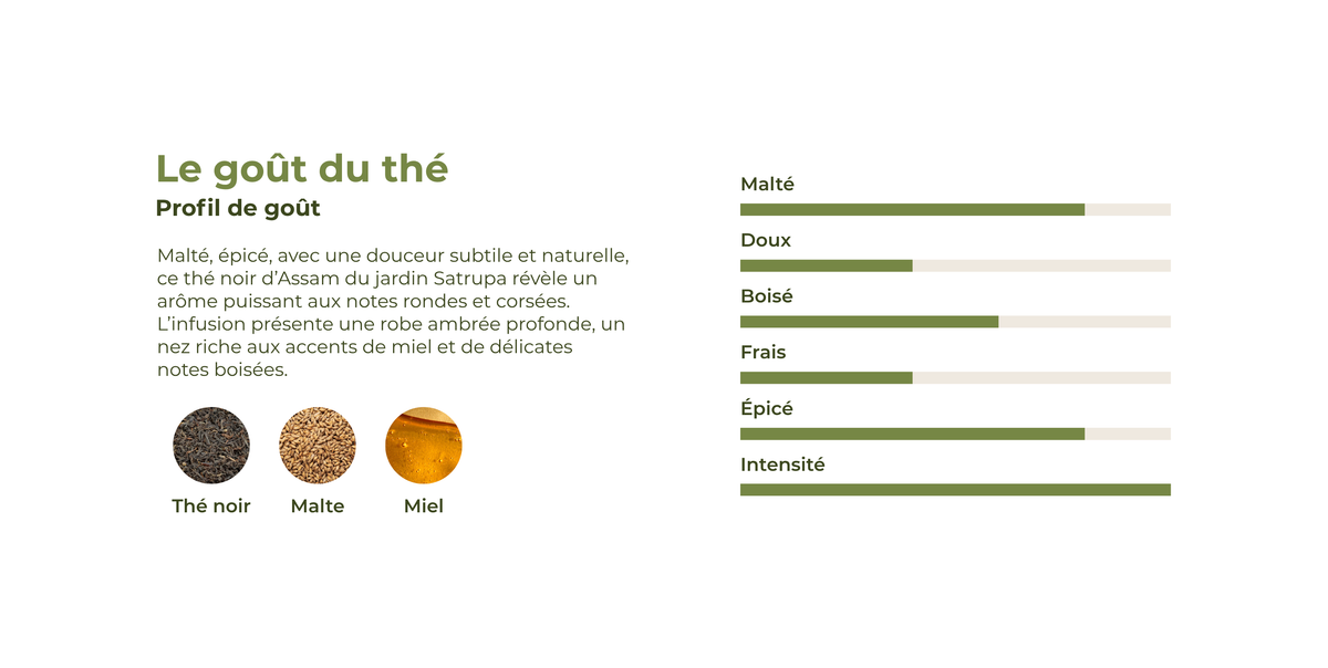 Profil de goût du thé noir Assam avec thé noir, malt et miel