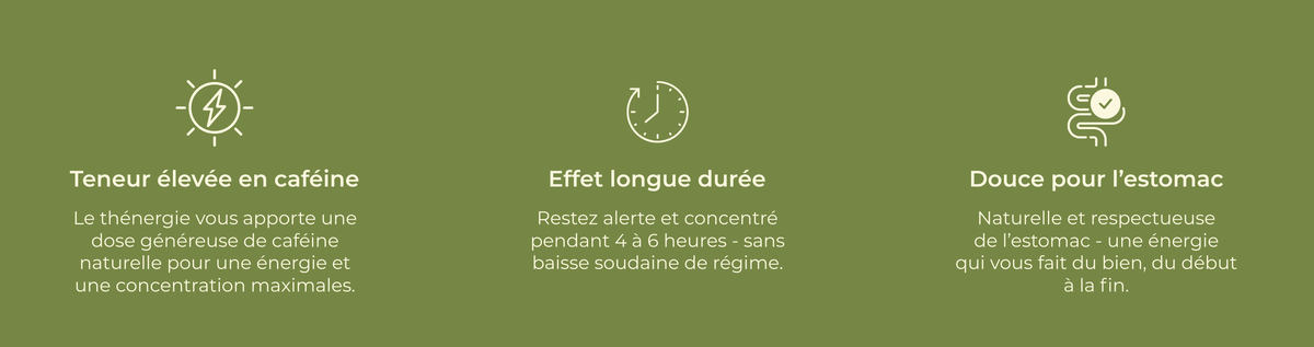 Caractéristiques du thé énergisant : forte teneur en caféine, effet longue durée et bonne digestibilité