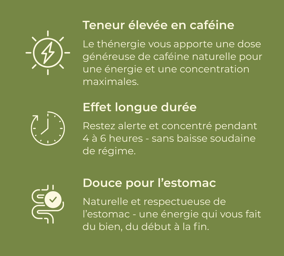 Caractéristiques du thé énergisant : forte teneur en caféine, effet longue durée et bonne digestibilité