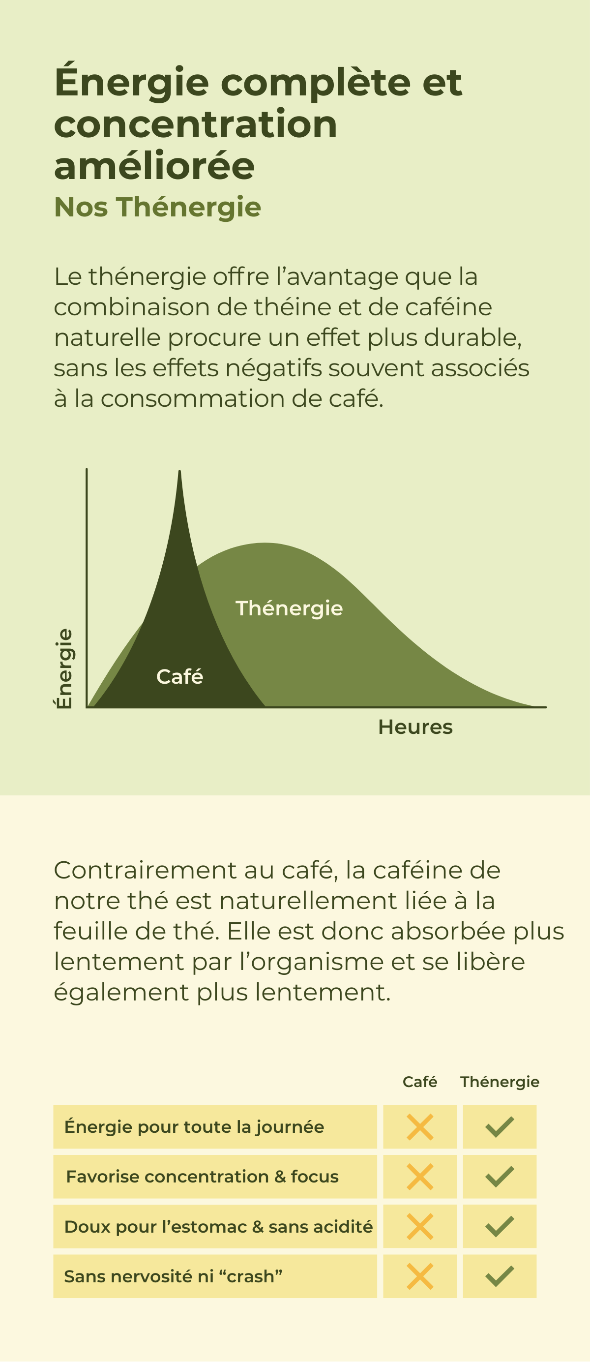 Graphique : énergie et concentration durables, le thé énergisant agit plus longtemps que le café