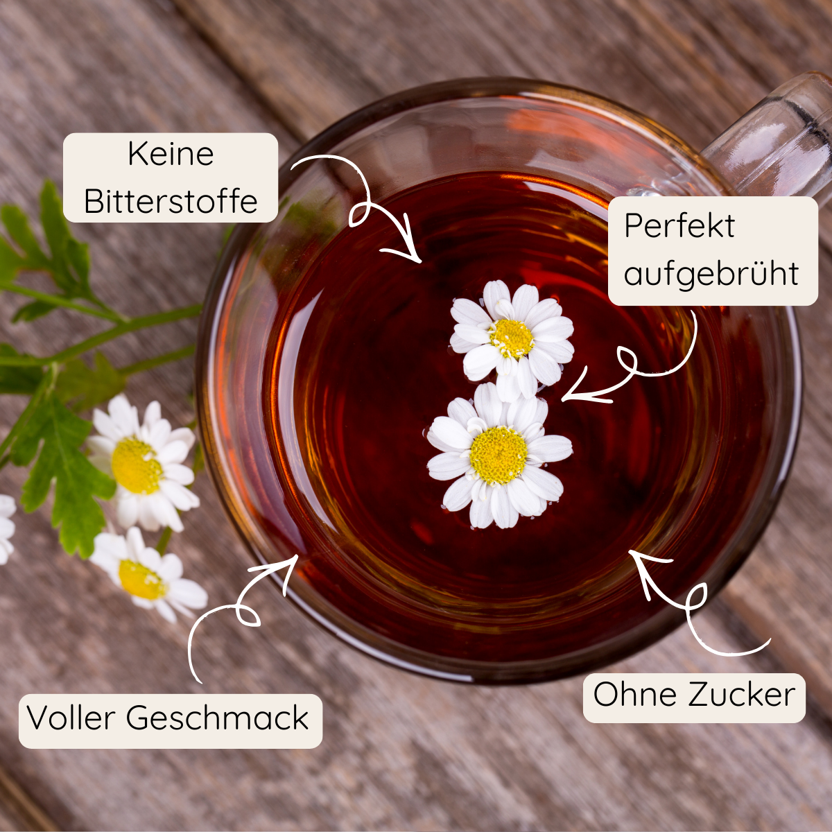 Tisane du soir
