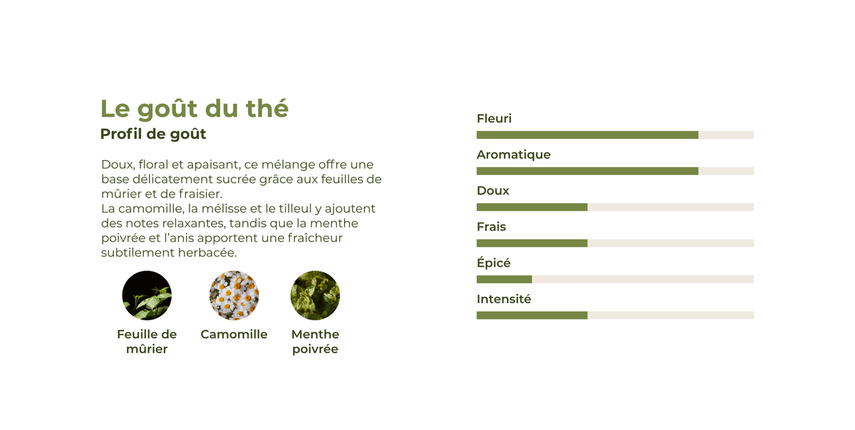 Profil de goût du thé du soir avec feuille de mûrier, camomille et menthe poivrée