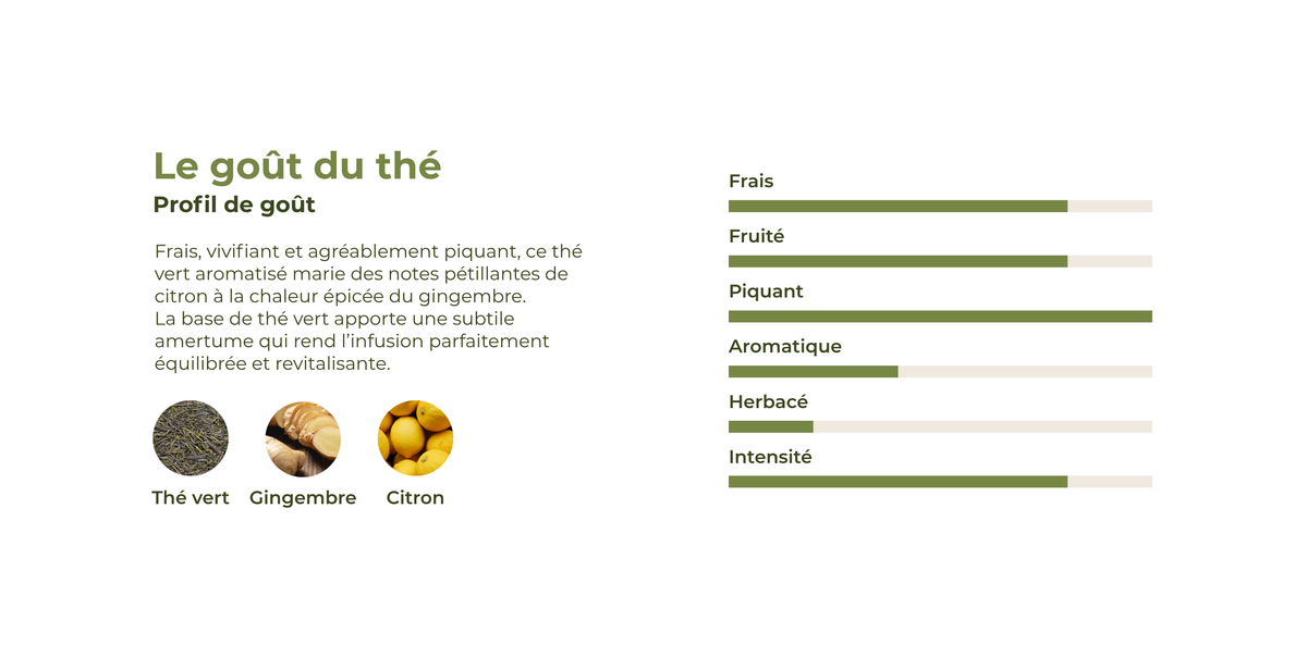 Profil de goût du thé gingembre-citron avec thé vert, gingembre et citron