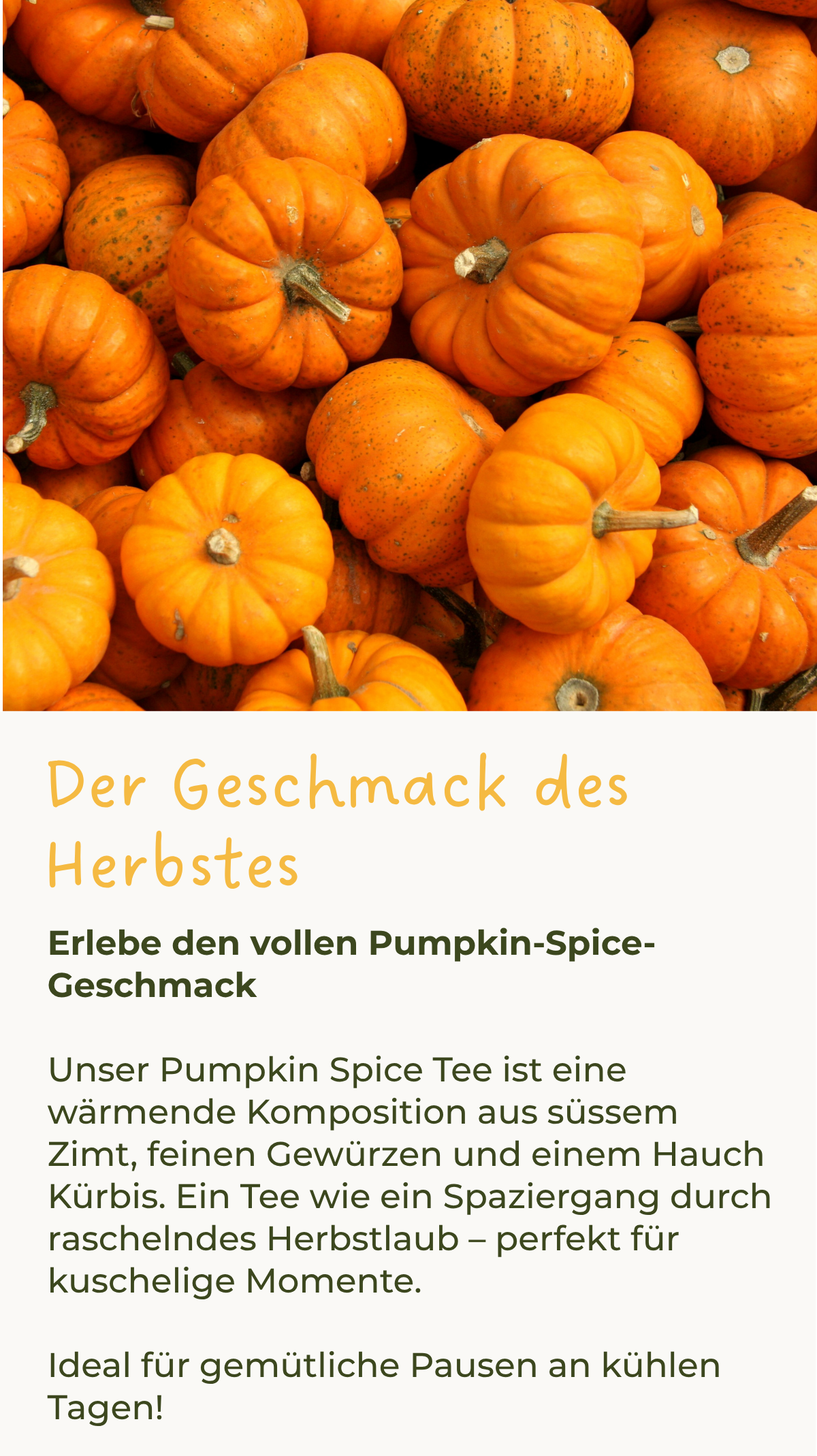 Pumpkin Spice Tee - Zutaten und Zubereitung