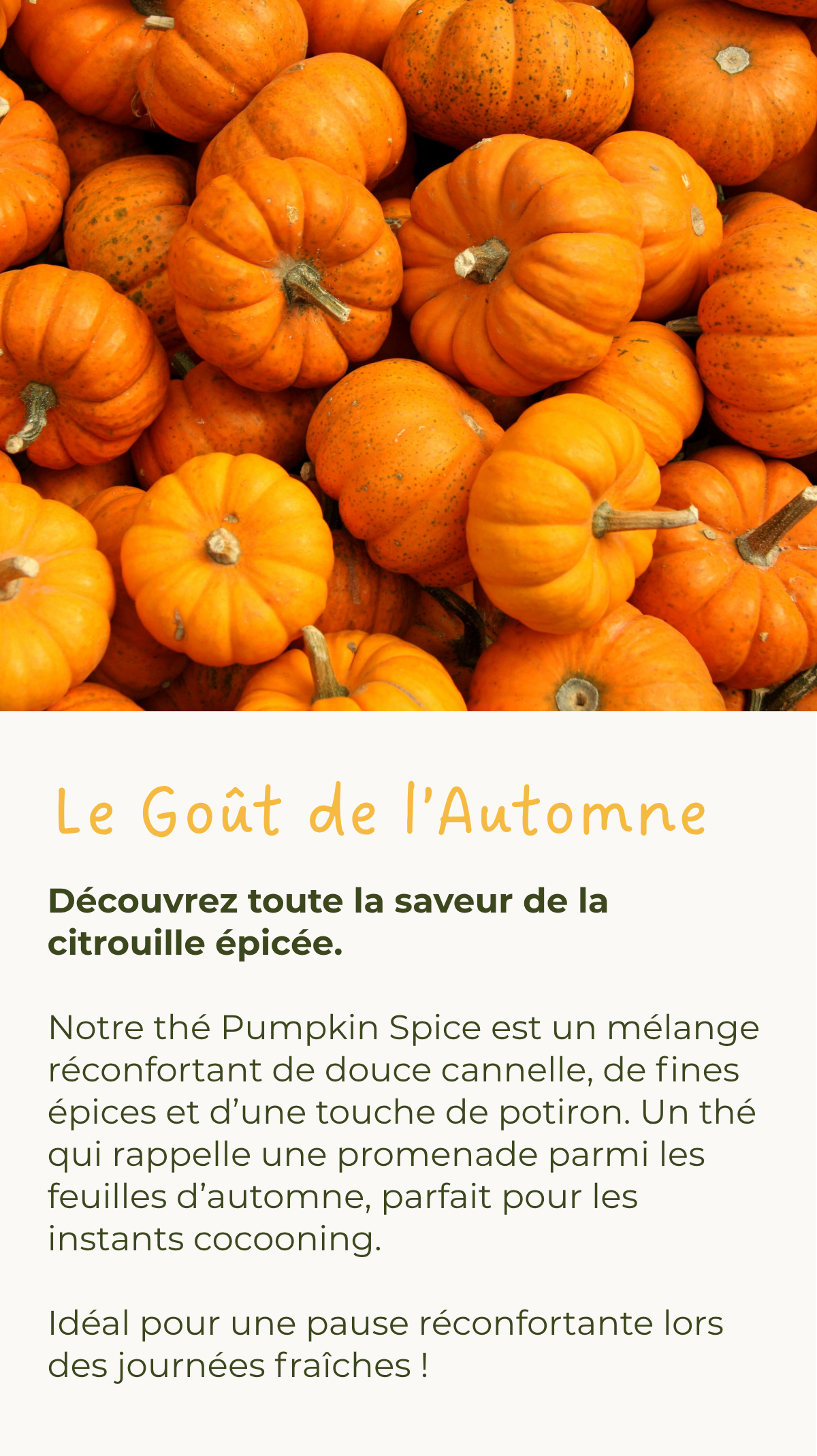 Pumpkin Spice Tee - Zutaten und Zubereitung